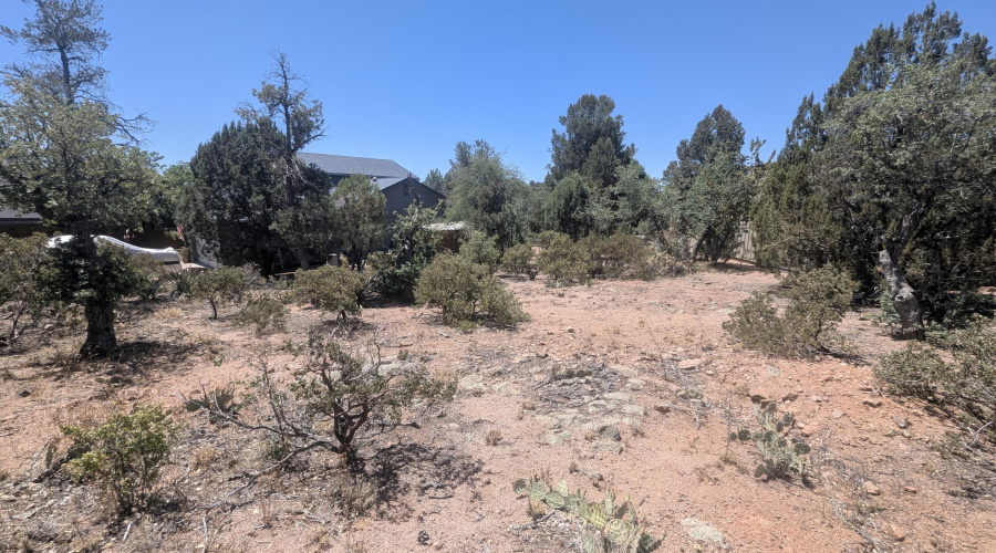 PXL_20260522_181756508