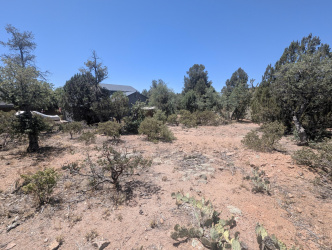 822 Pinto Circle, Payson, Arizona 85541, ,Land,For Sale,Pinto,94079