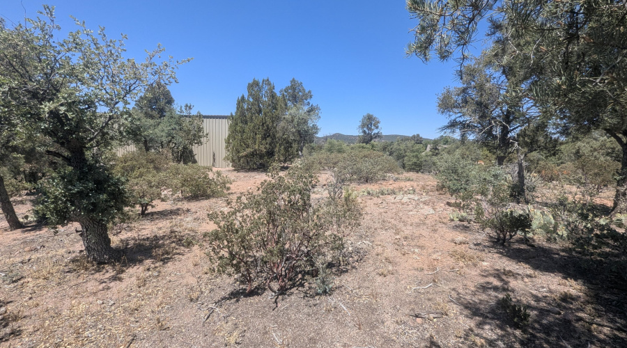 PXL_20260522_181736956