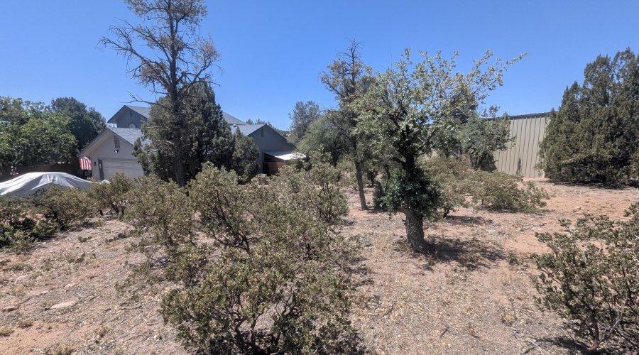 PXL_20260522_181739615