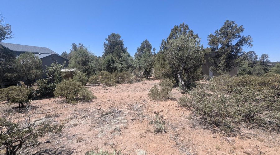 PXL_20260522_181808310