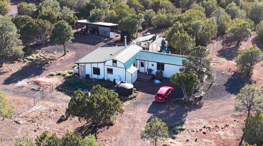AERIAL