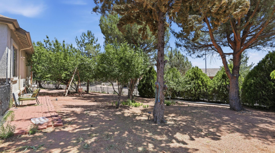 Mountain_View_026