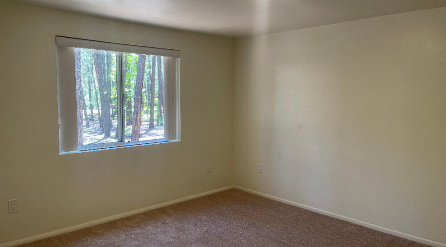 8239 Bucksprins Rd Primary Bed 2