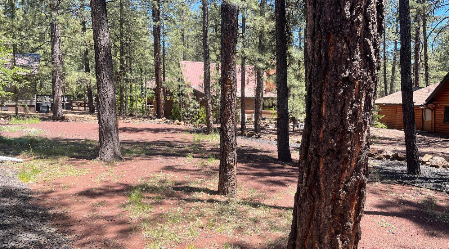 8239 Bucksprins Rd Back Yard