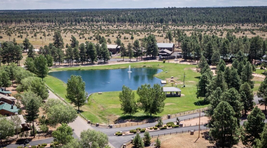 AERIAL OF COMMUNITY PARK