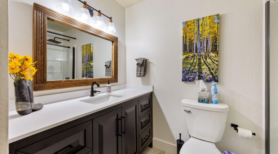 7507TallPineDr-Pinetop-AZ-23
