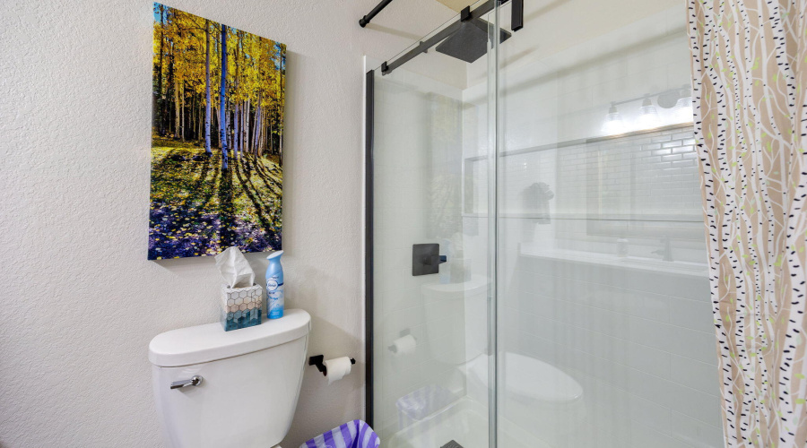 7507TallPineDr-Pinetop-AZ-24
