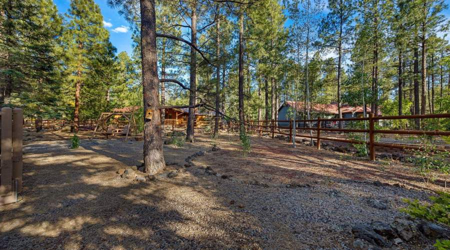 7507TallPineDr-Pinetop-AZ-34