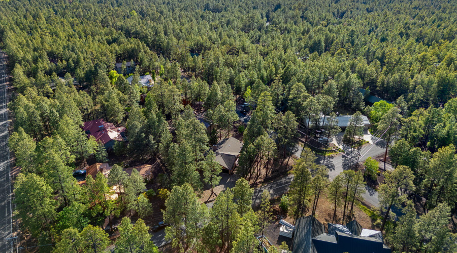 7507TallPineDr-Pinetop-AZ-36