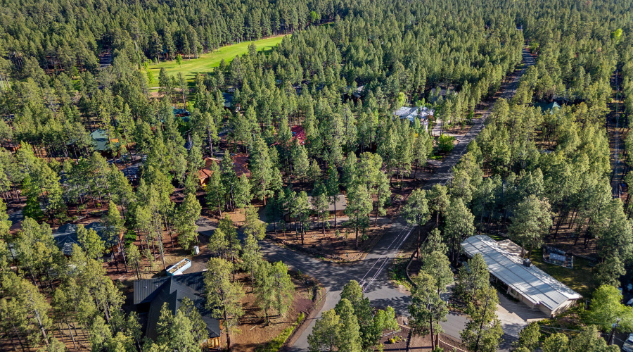 7507TallPineDr-Pinetop-AZ-37