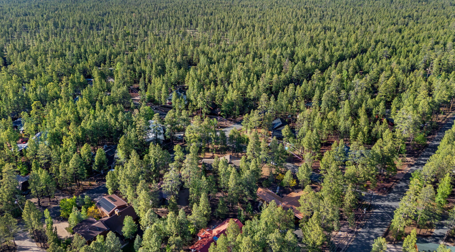 7507TallPineDr-Pinetop-AZ-38