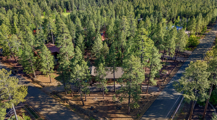 7507TallPineDr-Pinetop-AZ-39