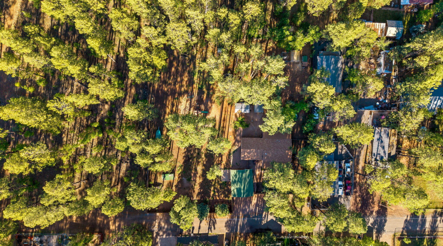 1249SStephensDr-Pinetop-AZ-36