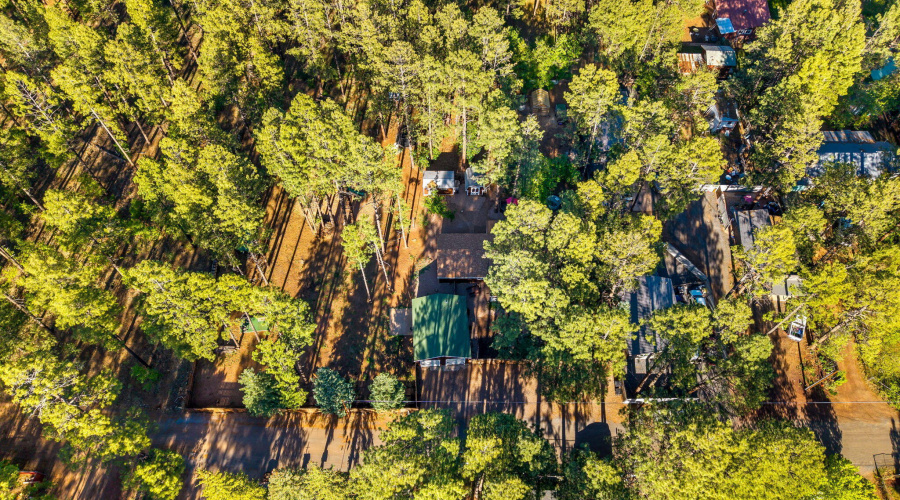 1249SStephensDr-Pinetop-AZ-37