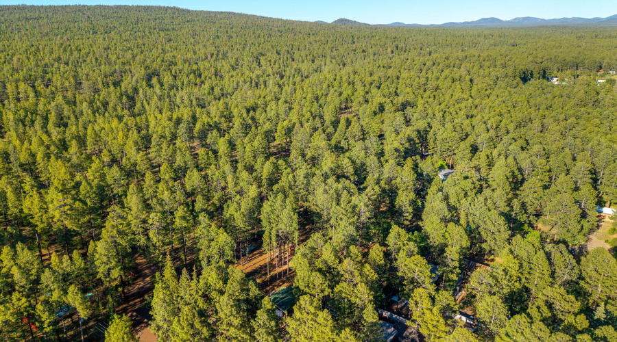1249SStephensDr-Pinetop-AZ-38