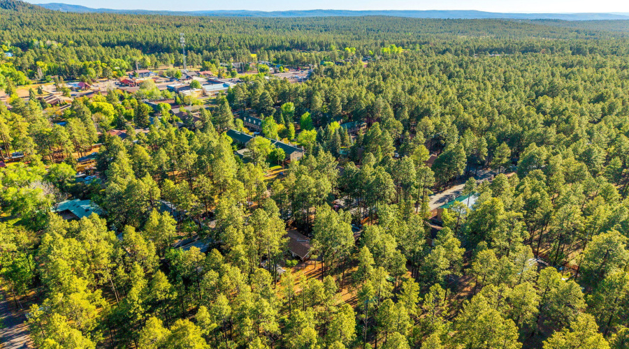 1249SStephensDr-Pinetop-AZ-39
