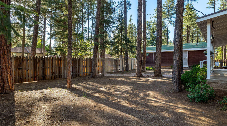 1249SStephensDr-Pinetop-AZ-2