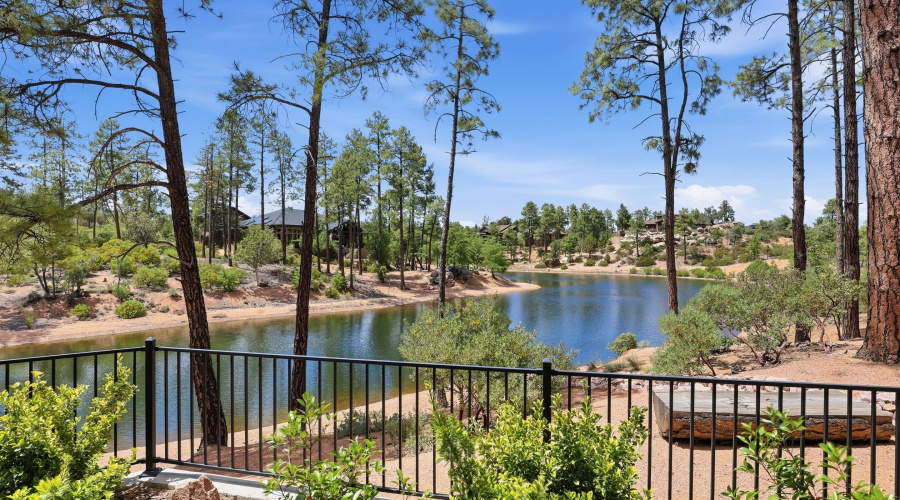Lakeside Views