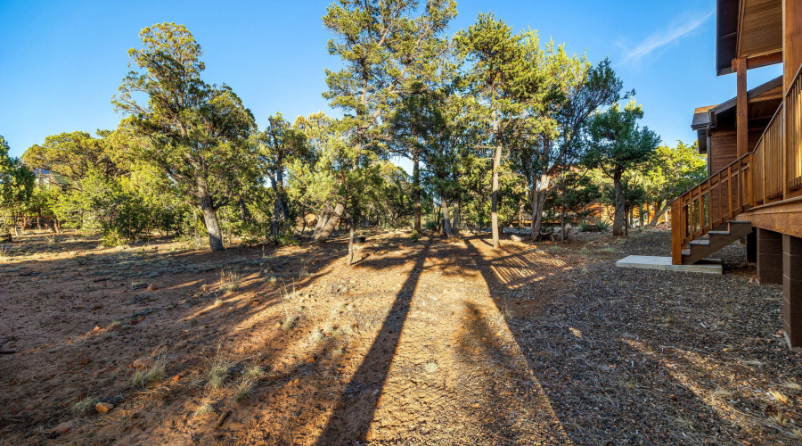 1484LowMountainTrail-Heber-AZ-30
