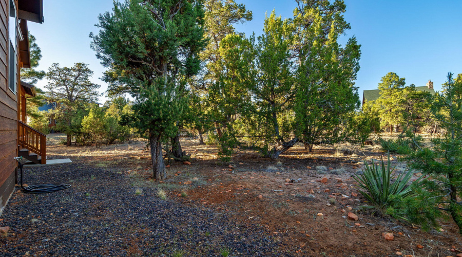 1484LowMountainTrail-Heber-AZ-32