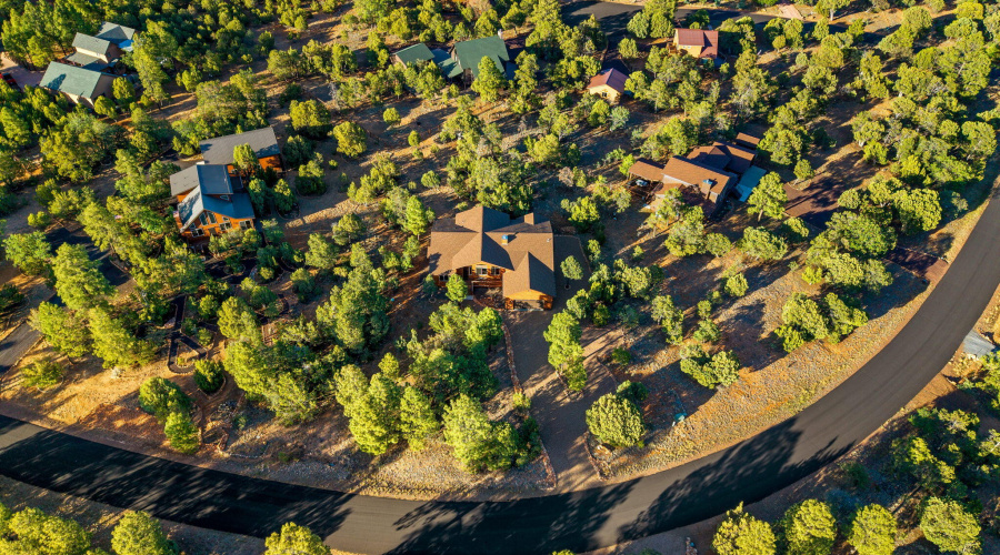 1484LowMountainTrail-Heber-AZ-36