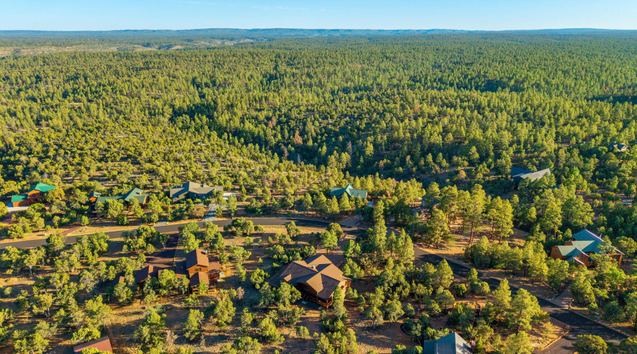 1484LowMountainTrail-Heber-AZ-39