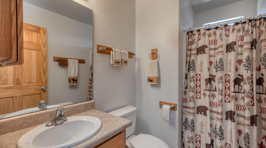 Guest bathroom top floor
