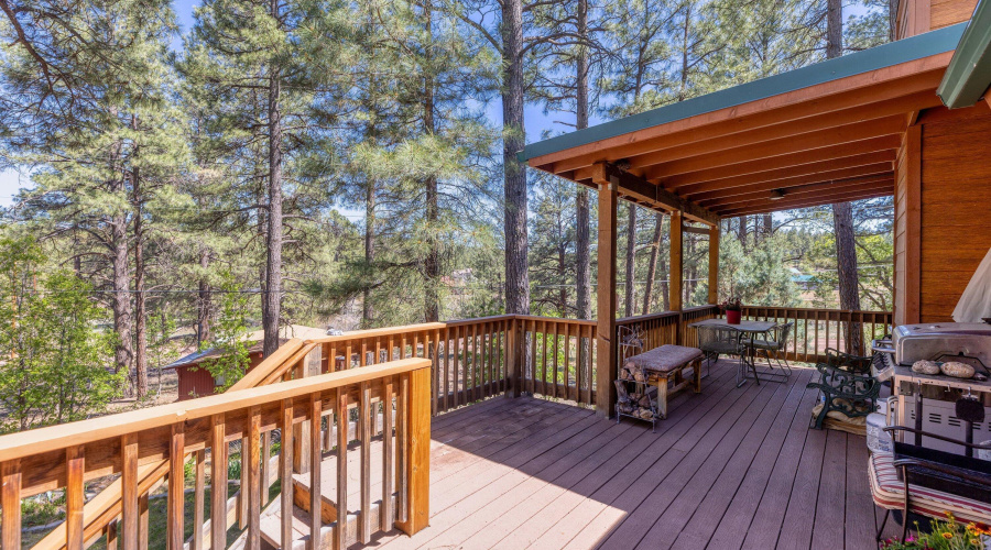 Back deck
