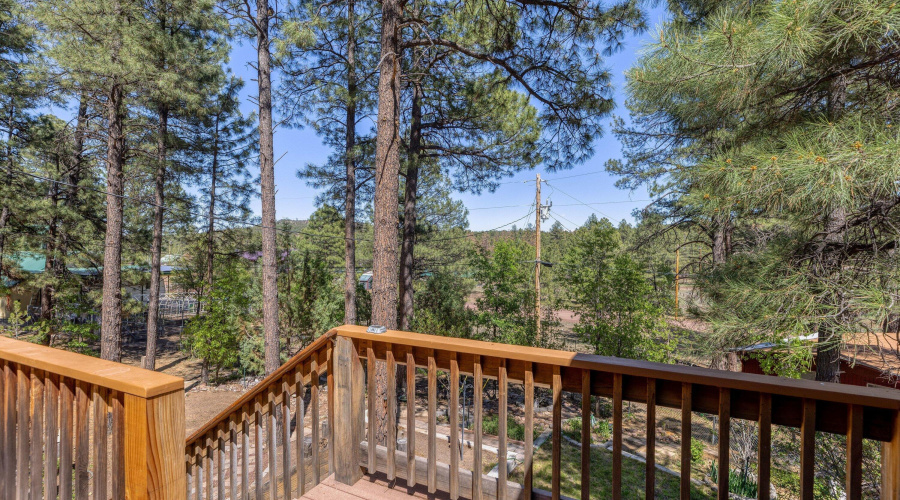 Views from back deck