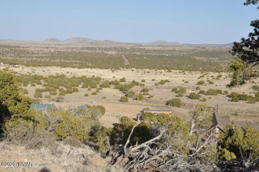 20 County Road 3044, Concho, Arizona 85924, ,Land,For Sale,County Road 3044,261303