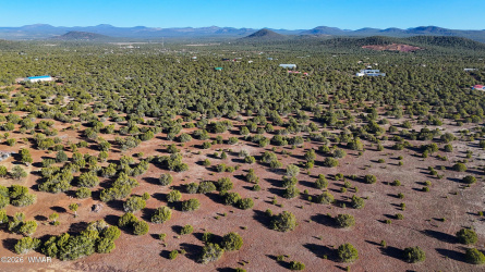 TBD Co Rd 3187, Vernon, Arizona 85940, ,Land,For Sale,Co Rd 3187,261318