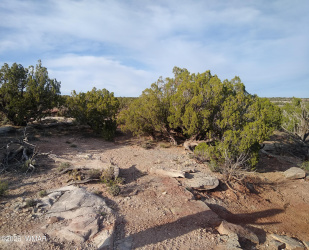 8938 Buffalo Ridge Lane, White Mountain Lake, Arizona 85912, ,Land,For Sale,Buffalo Ridge,258926