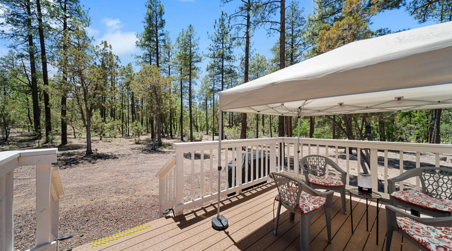Deck Views