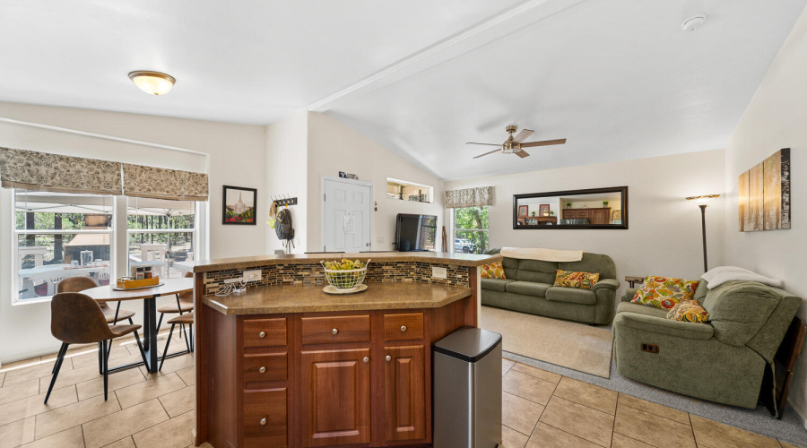 Kitchen/Living Room View