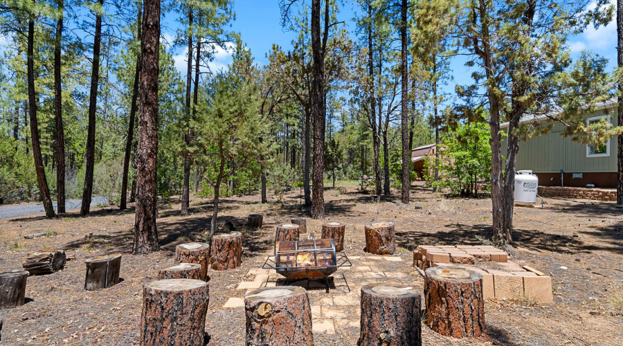 Fire Pit