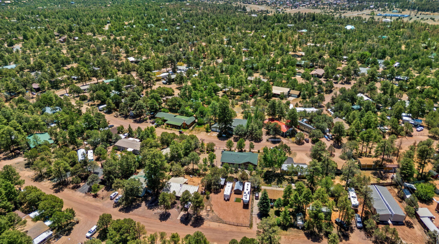 2176WildlifeTrail-Heber-AZ-31