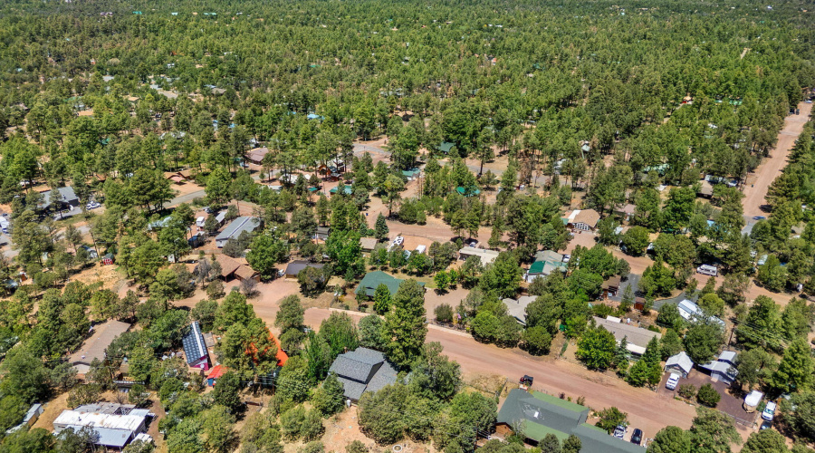 2176WildlifeTrail-Heber-AZ-33