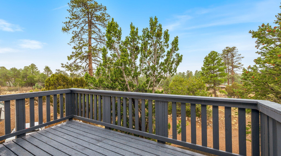 2845MustangTrail-Overgaard-AZ-20