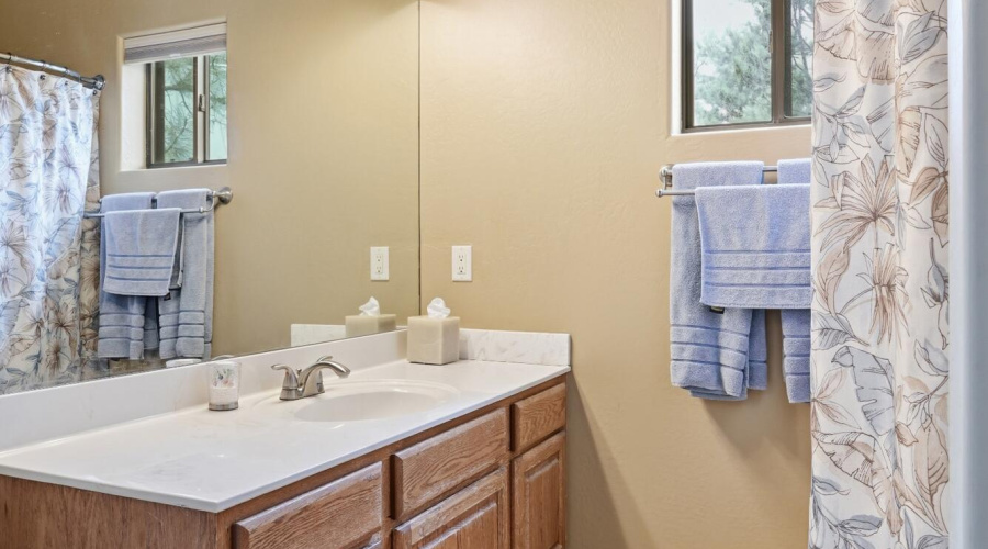 30 Guest bathroom
