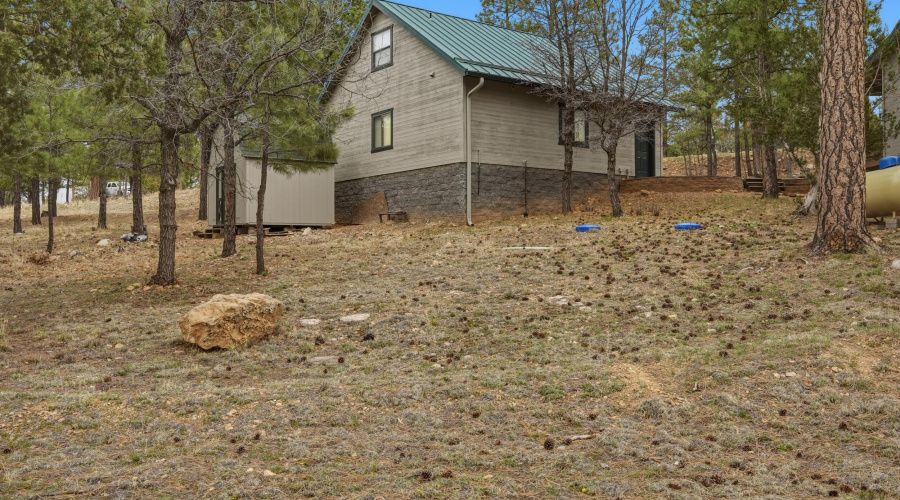 37 Backside and shed
