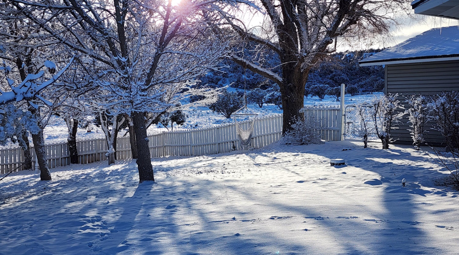 20260125_082016