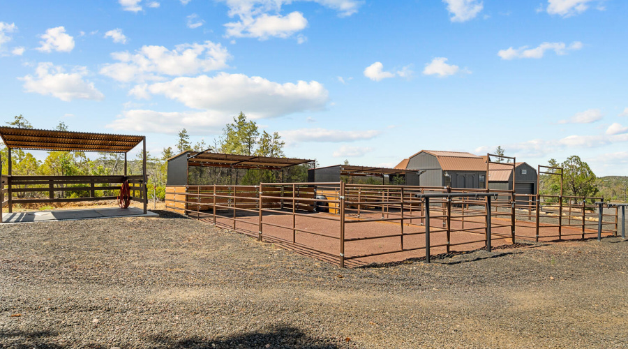 Horse Pens