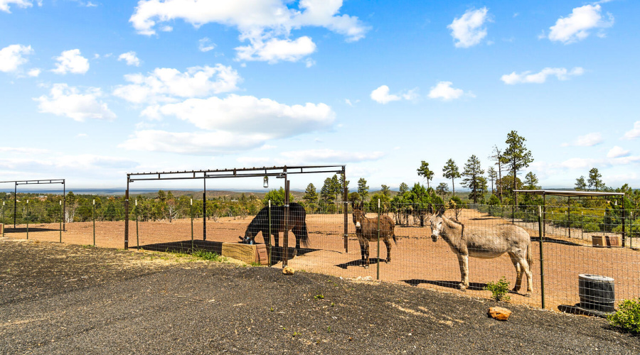 3-Acre Fenced Pasture