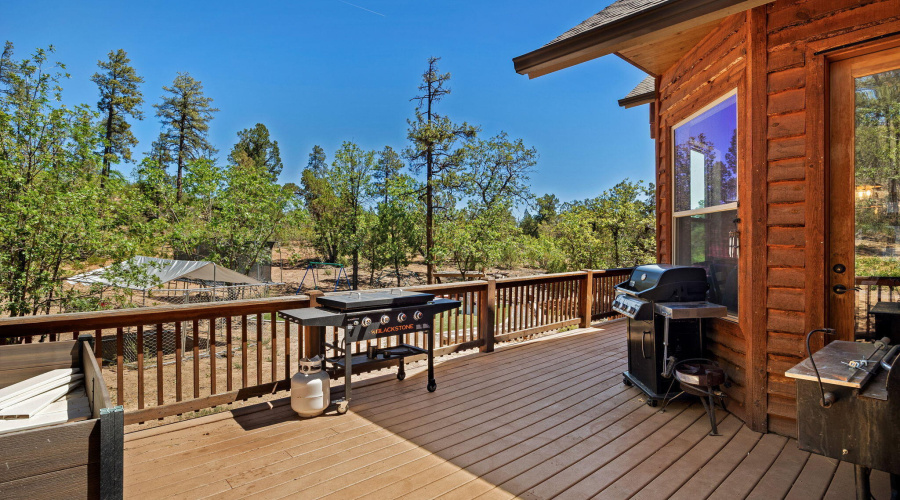 6019RimRd-Lakeside-AZ-41