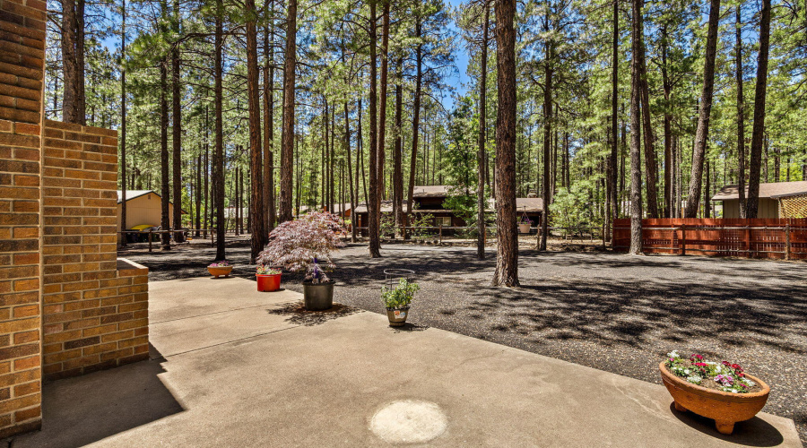 Back Patio