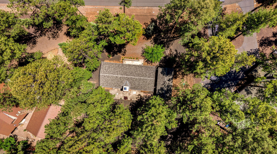 8508HiawathaTrl-Pinetop-AZ-29