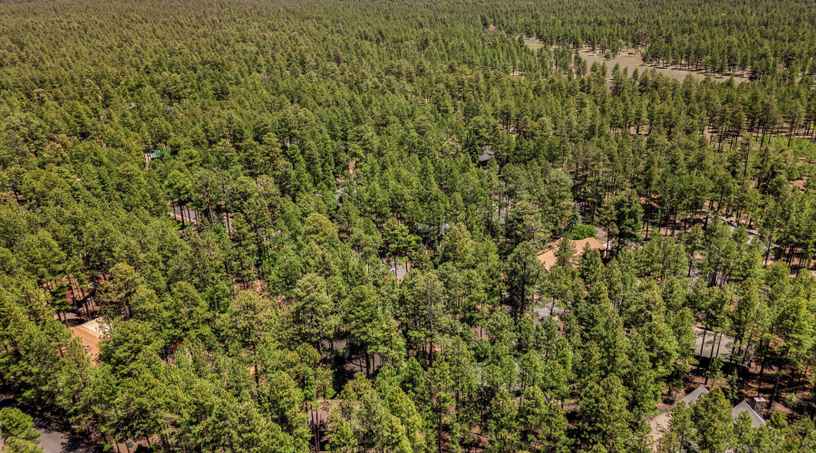 8508HiawathaTrl-Pinetop-AZ-30