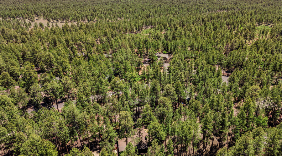 8508HiawathaTrl-Pinetop-AZ-31