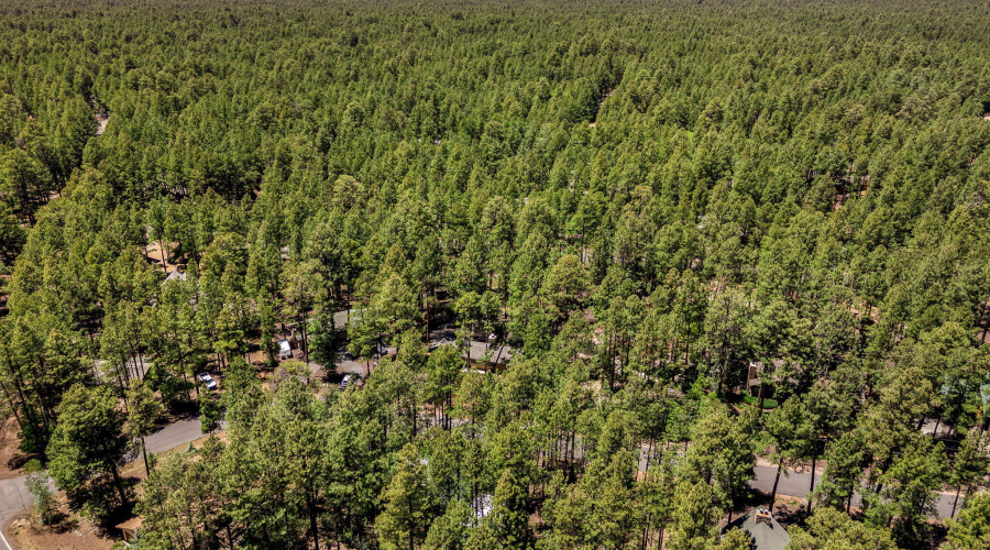 8508HiawathaTrl-Pinetop-AZ-32